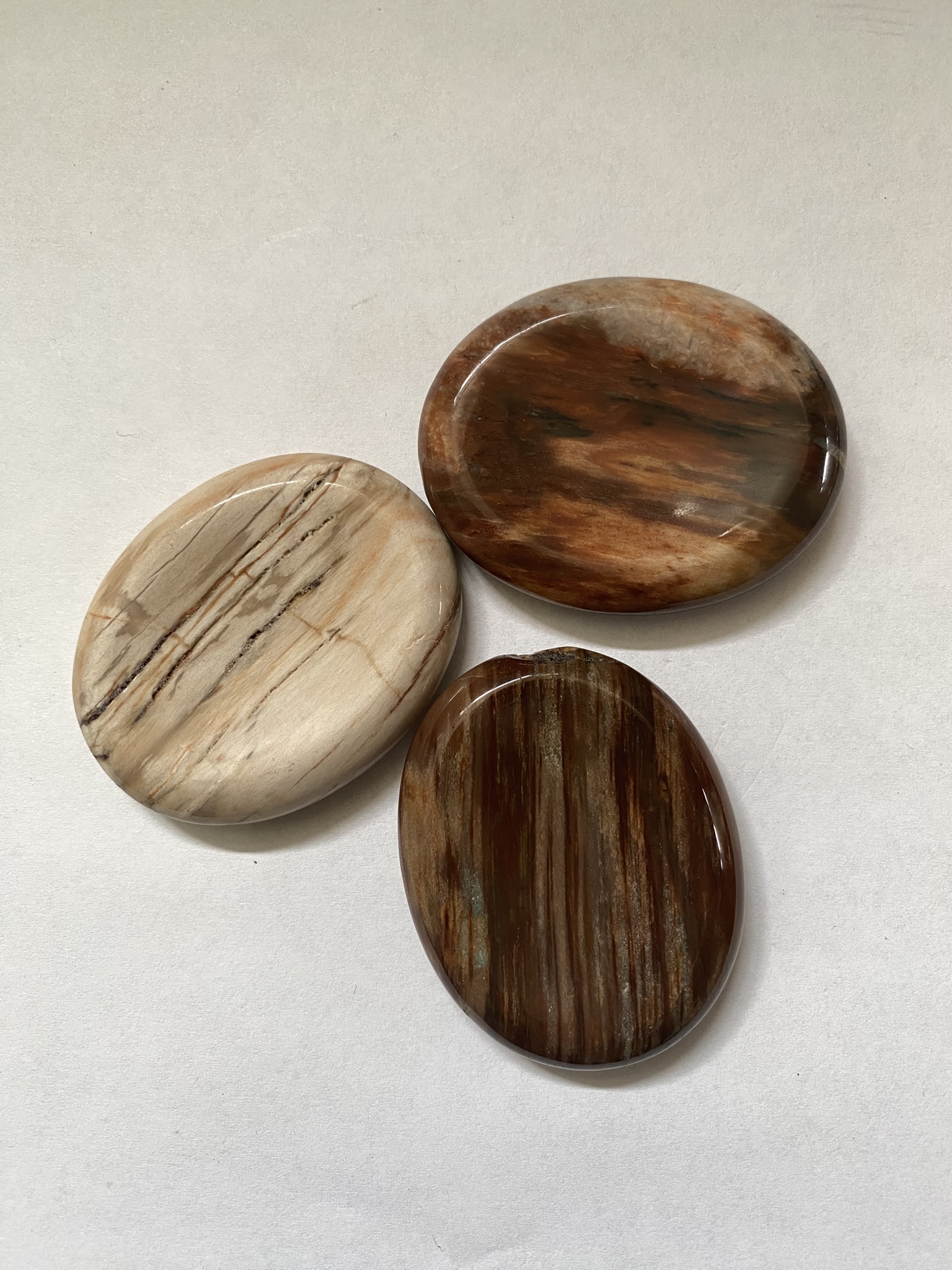 Petrified Wood Worry Stone