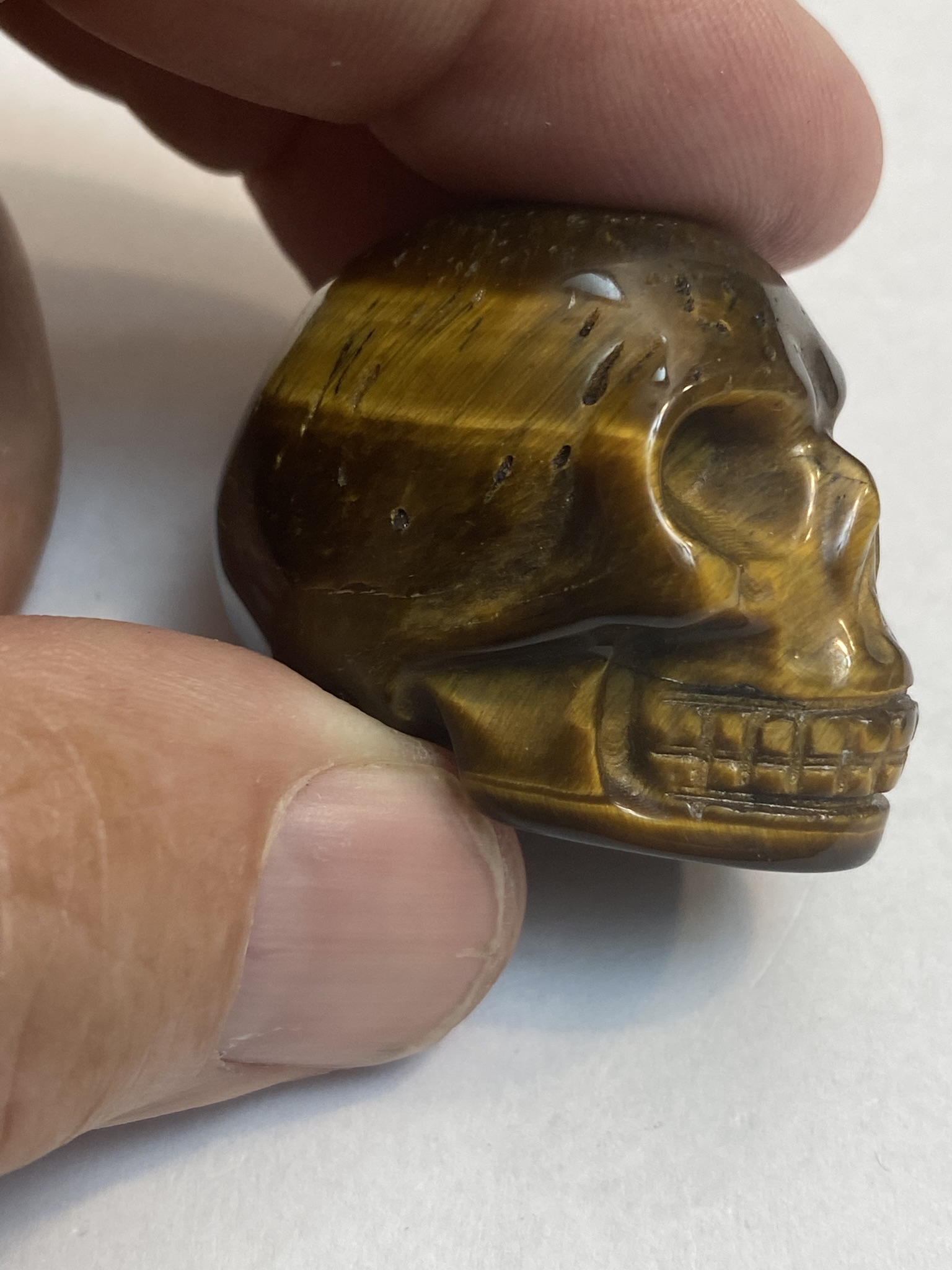Tiger eye skull