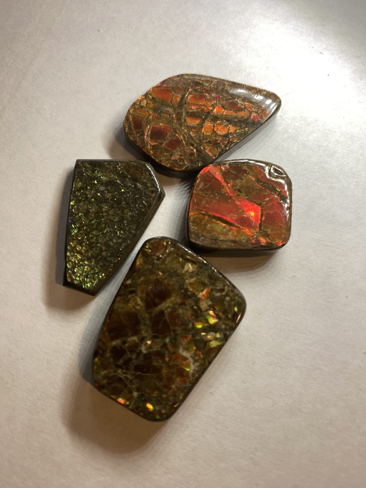 Ammolite