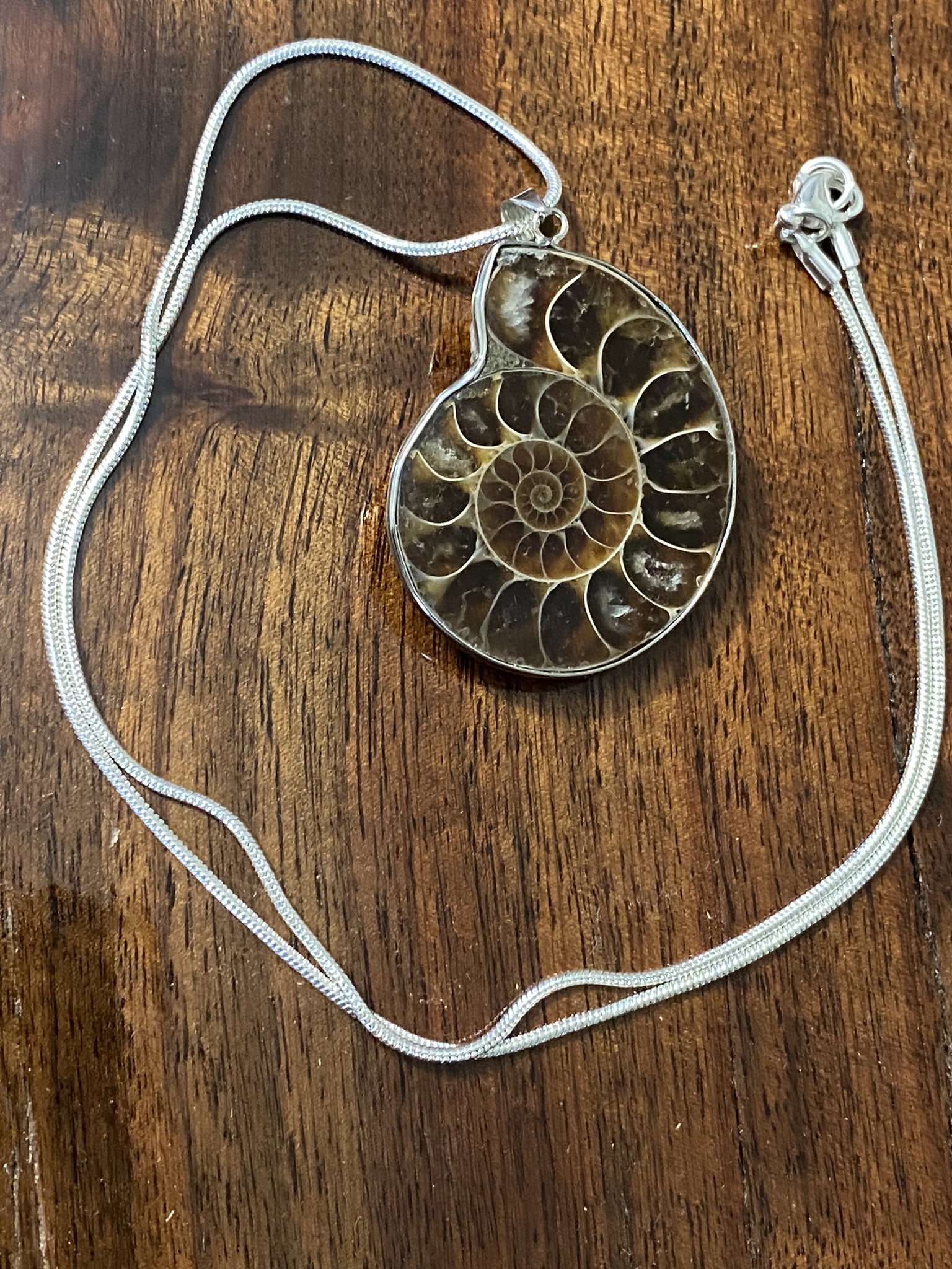 Ammonite Necklace
