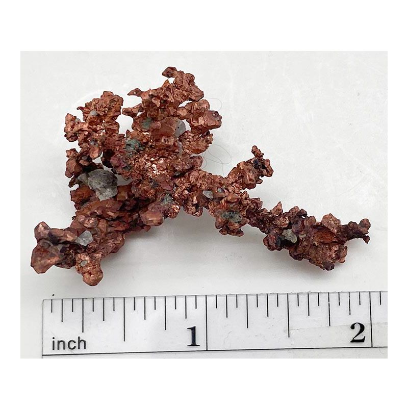 Copper, dendritic from Arizona
