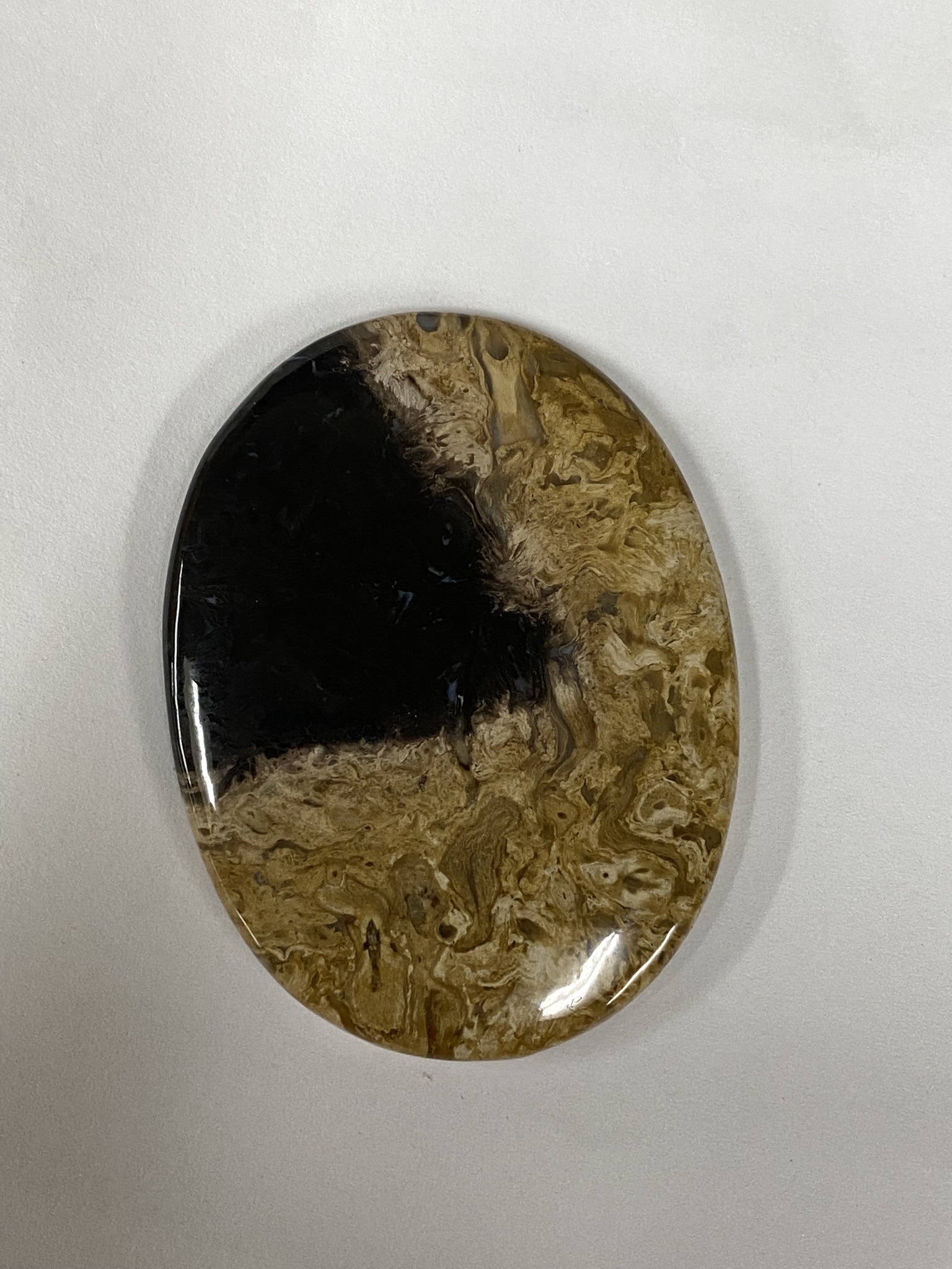 Palm wood cabochon
