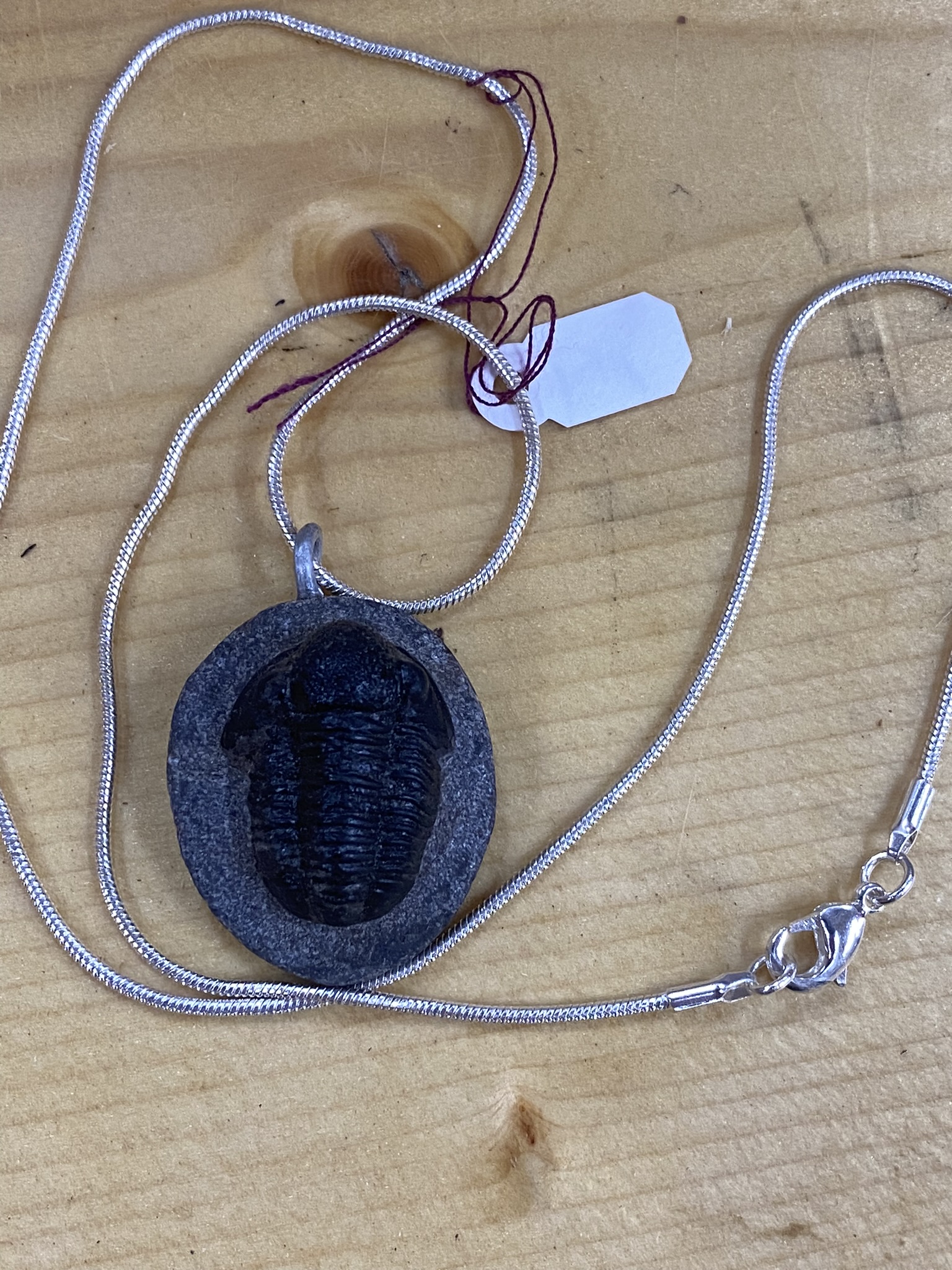 Trilobite Necklace