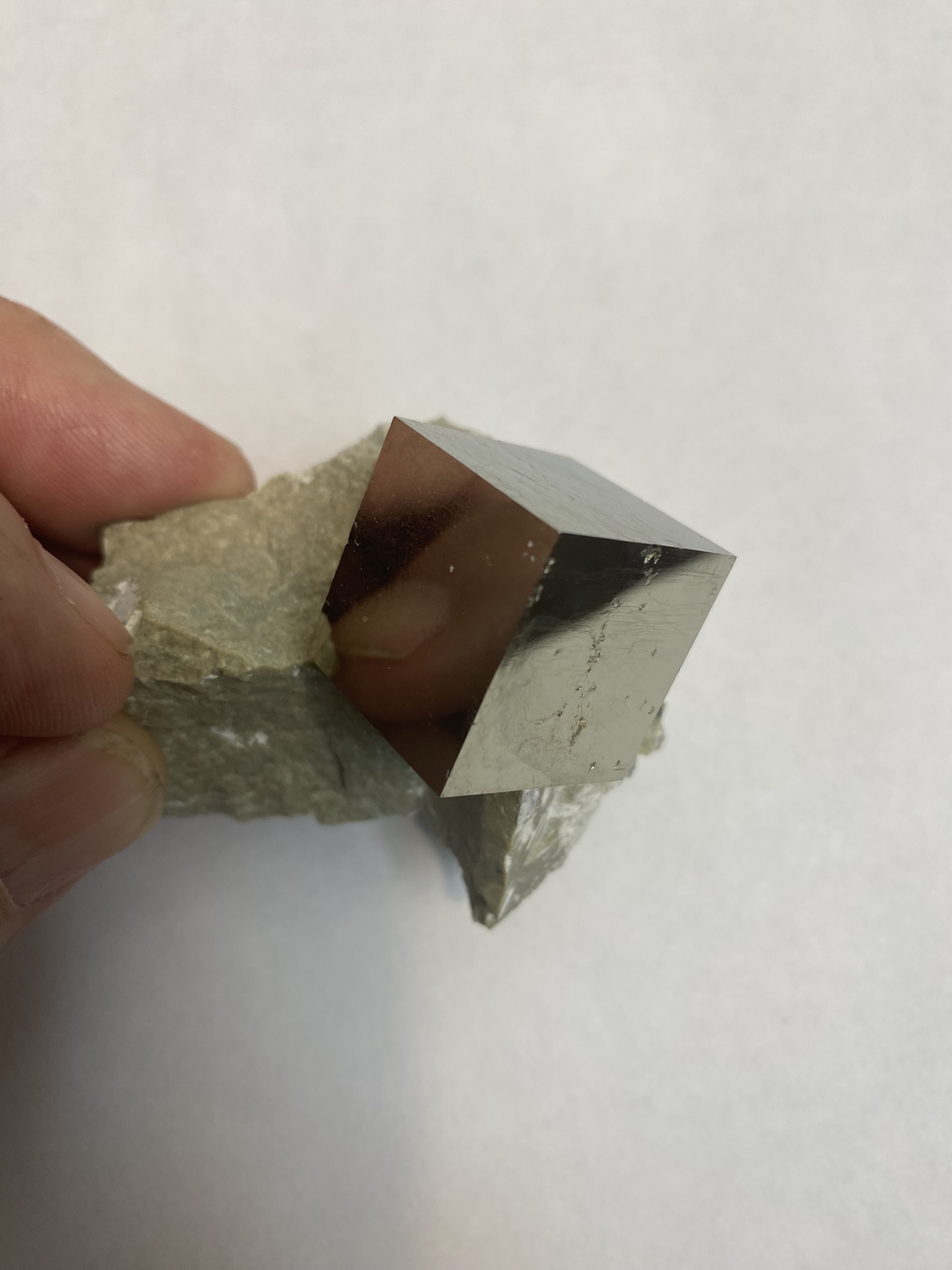 Pyrite Cubes on Matrix