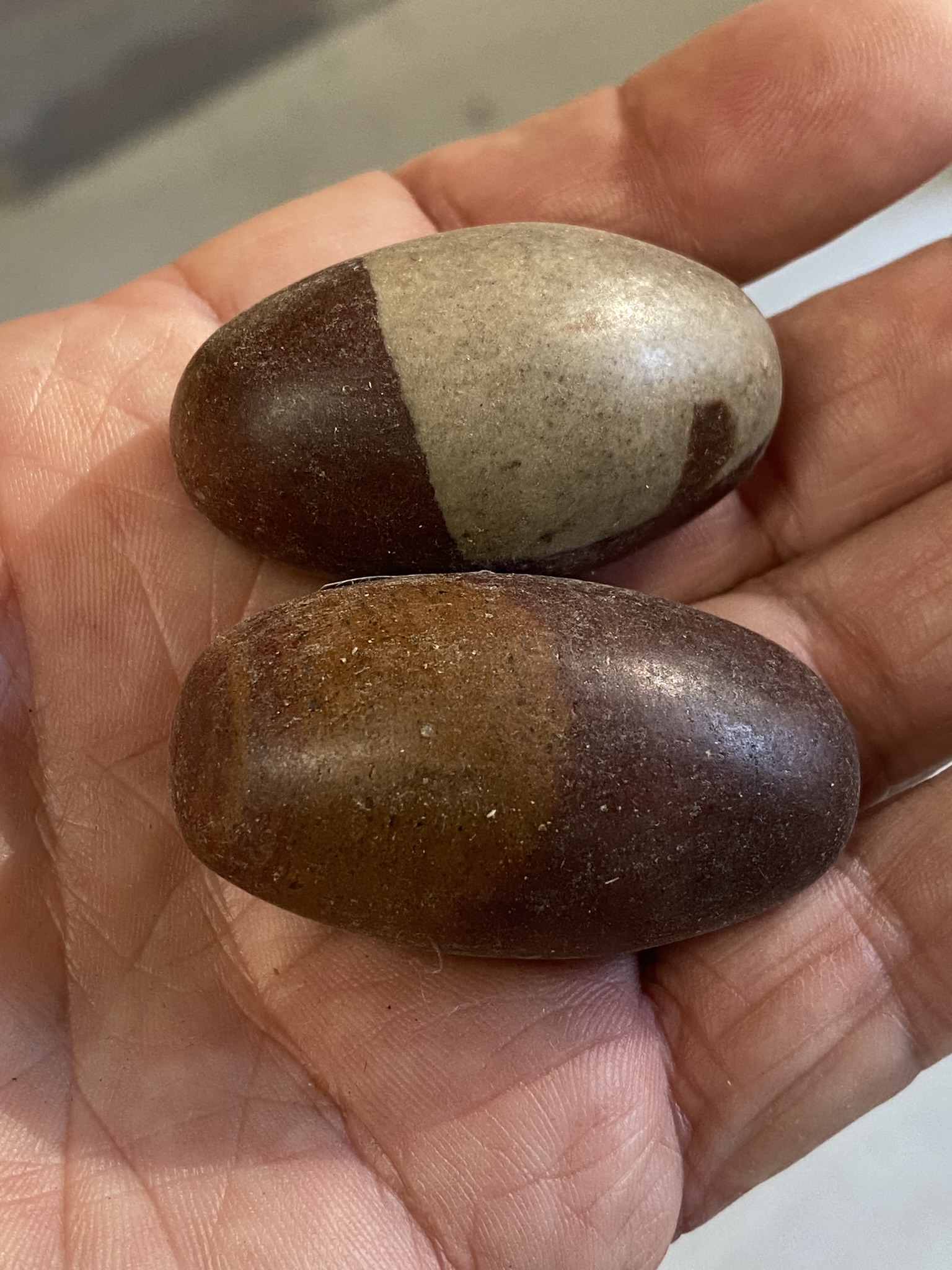 Shiva Lingum