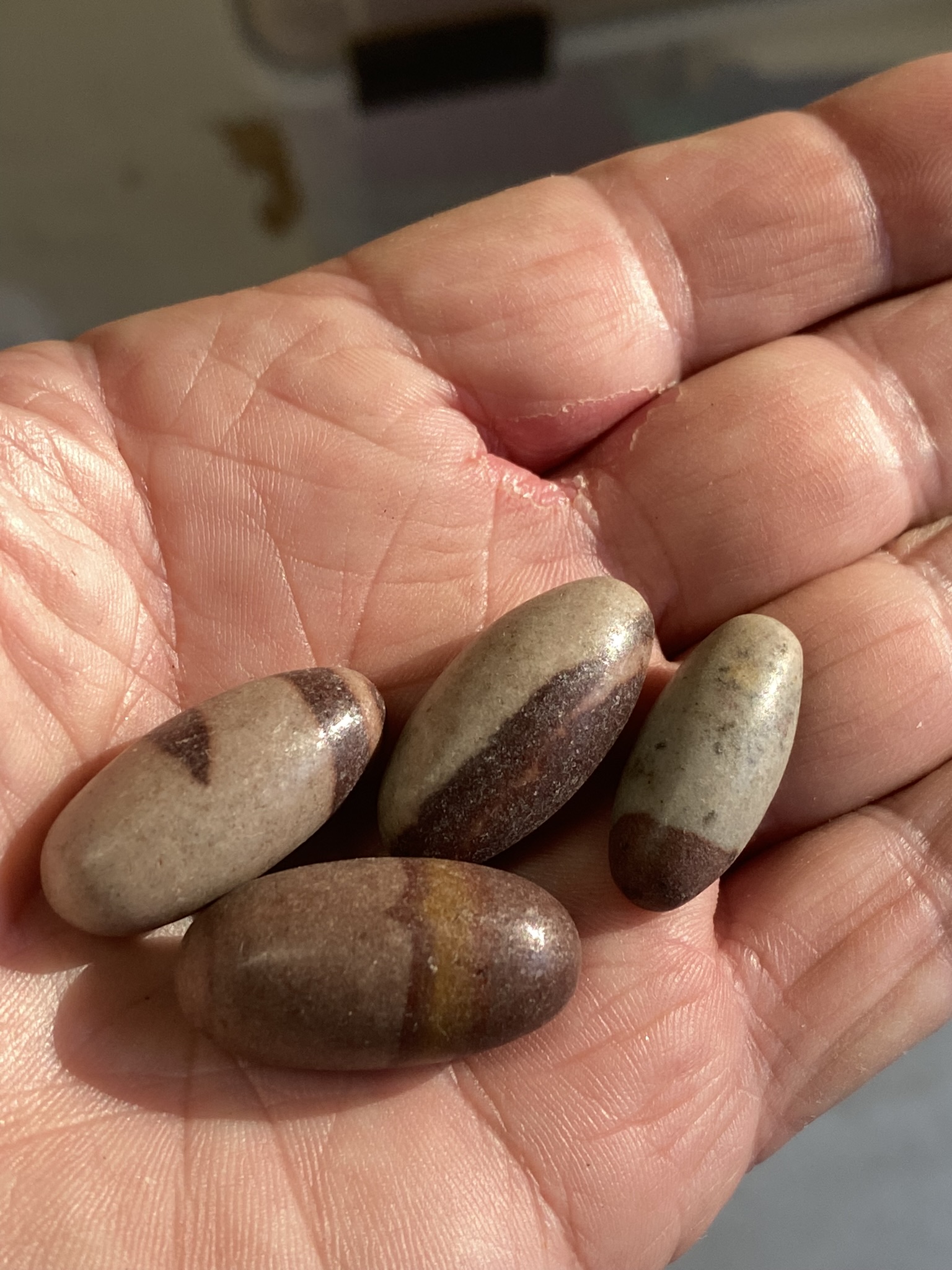 Shiva Lingum